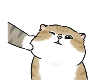 🤏