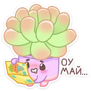 😍