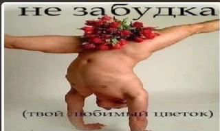 🥀