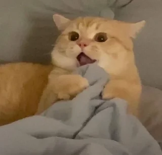 😳
