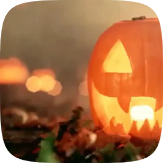 🍁