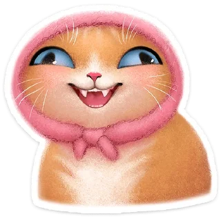 🐱