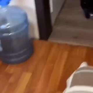 Котейки @stickroom