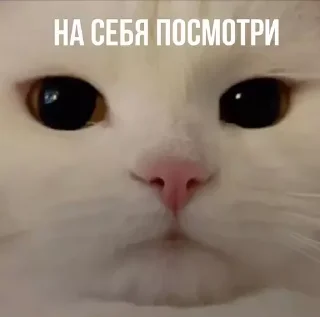 😪