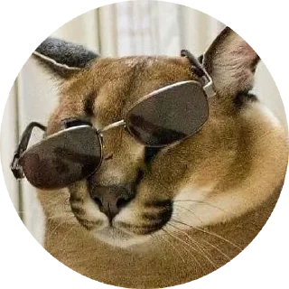 🕶