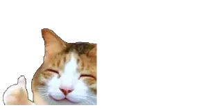 🐈
