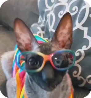 🌟