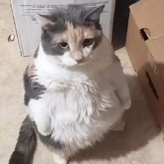 🤯