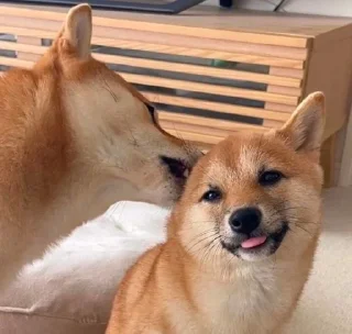 💓