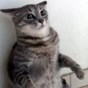 ⁉️