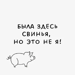 🐷