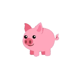 🐖