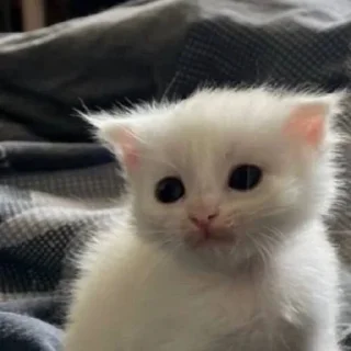 👍