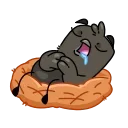 😴