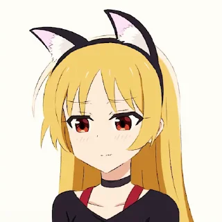 🐱