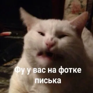 🥴