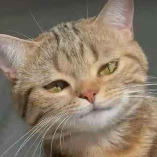 😏