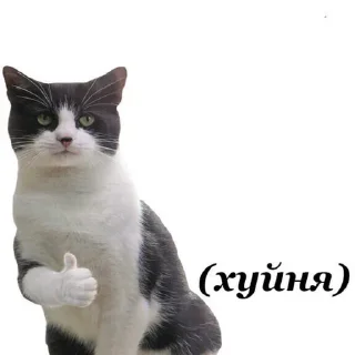 👍
