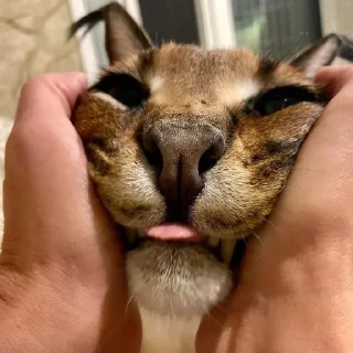 😛