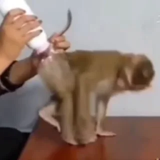 🫥