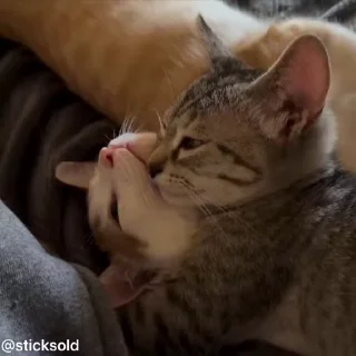 ❤️