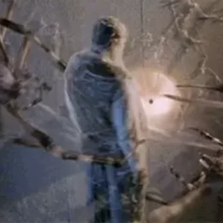 🕷