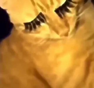 🤬