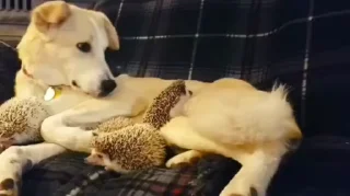 ☺