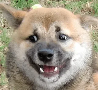 😅