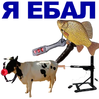 🐠