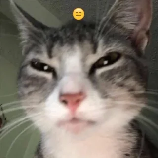 🤨