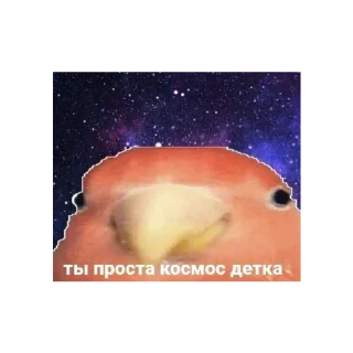 🌌