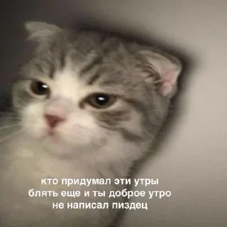 😡