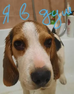 💧