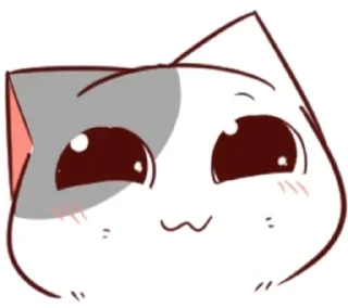 🐈
