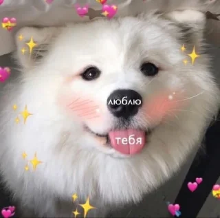❤️