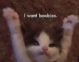 😭