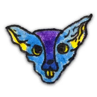 🐱