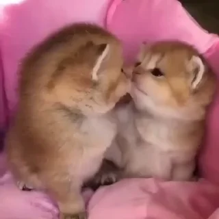 😘