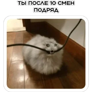 🤪