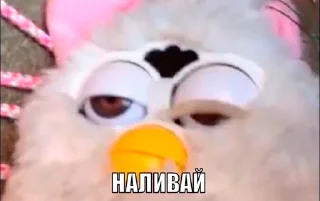 😸