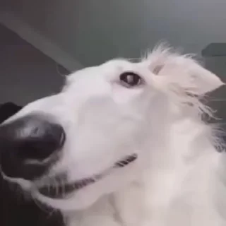 👀
