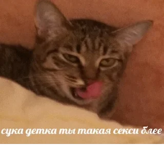 🤤