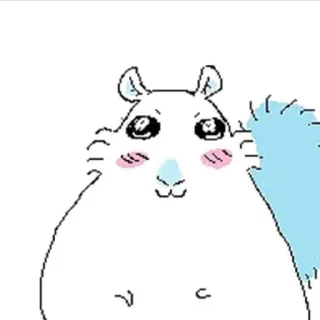 😽