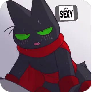 🐱