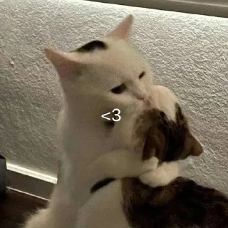 ❤️