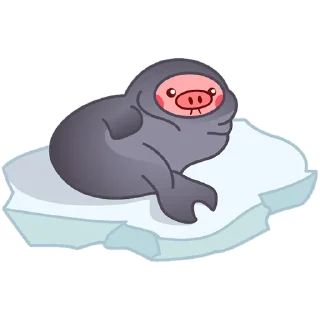 🐷