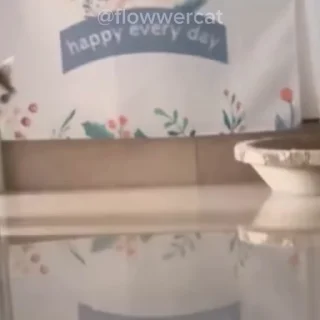 🚶‍♂