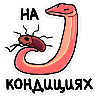 🐍