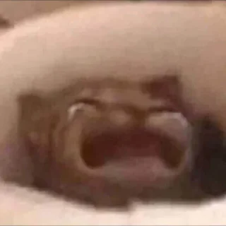 😔
